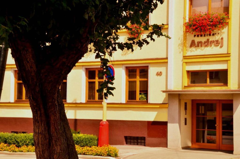 Penzion Andrej Ружомберок Екстериор снимка
